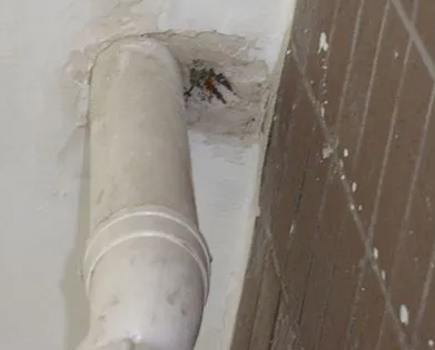 富锦漏水检测哪家好